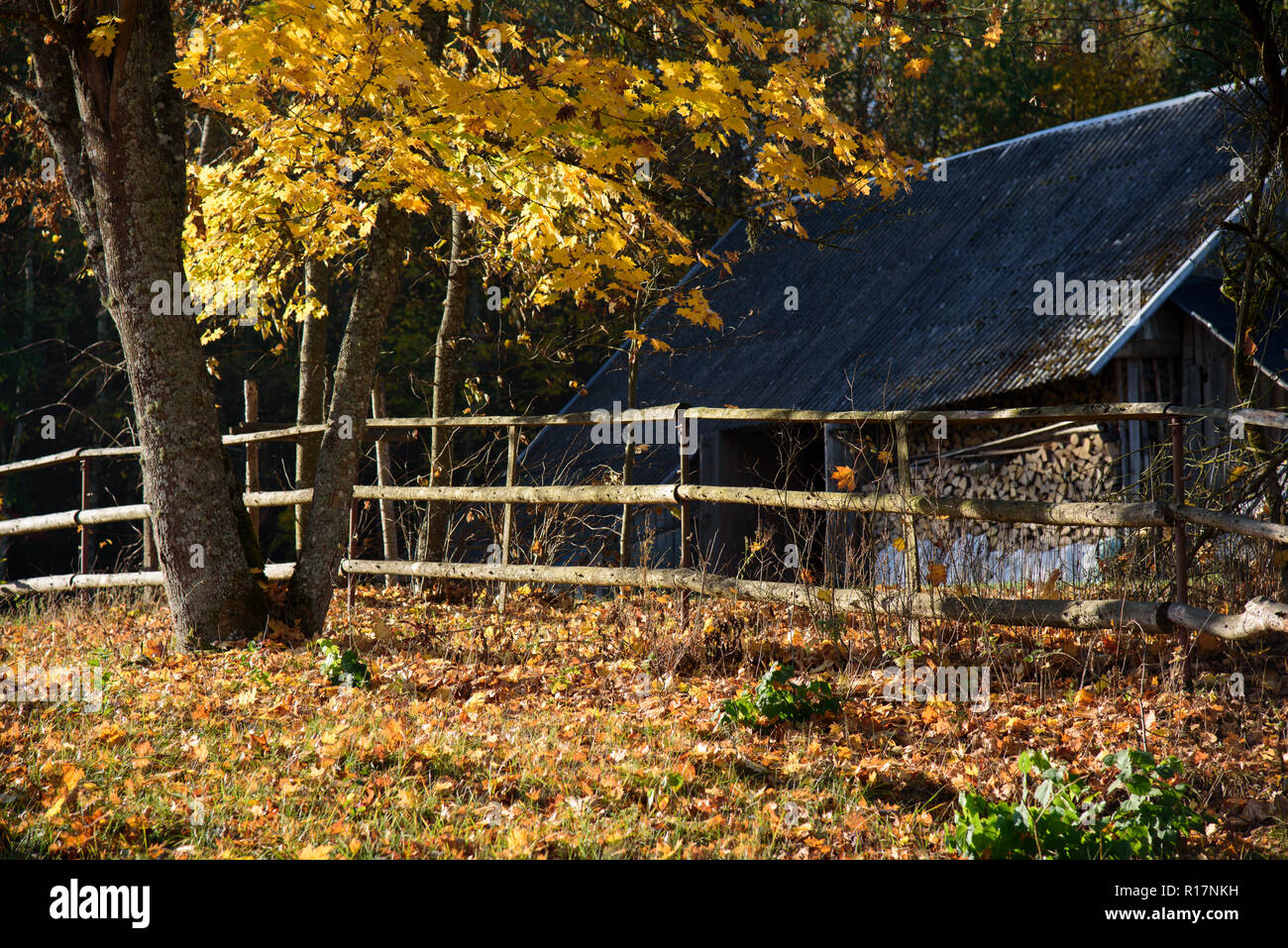 Un paysage d'automne avec une grange, d'une clôture et un arbre Banque D'Images