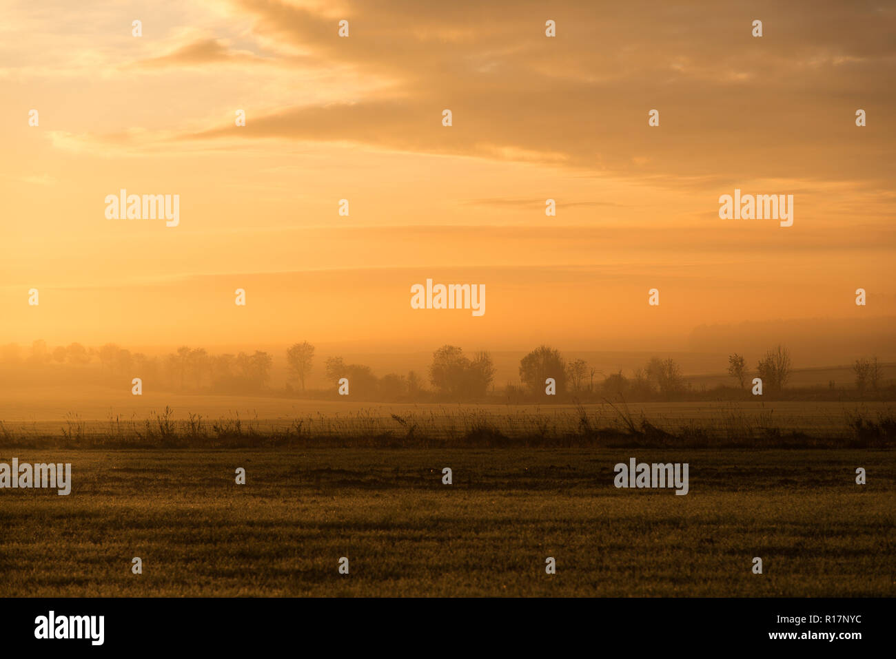 Lever du soleil, le brouillard, les rayons du soleil, matin, paysage, vue, à la campagne, à la terre, les champs labourés, feuilles, automne, Banque D'Images