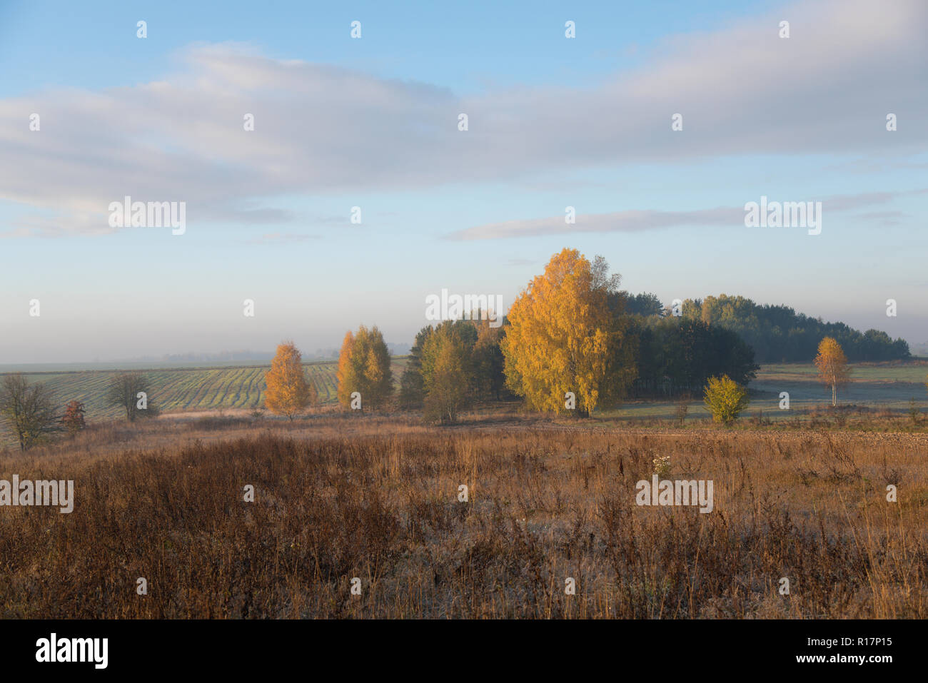 Lever du soleil, le brouillard, les rayons du soleil, matin, paysage, vue, à la campagne, à la terre, les champs labourés, feuilles, automne, Banque D'Images