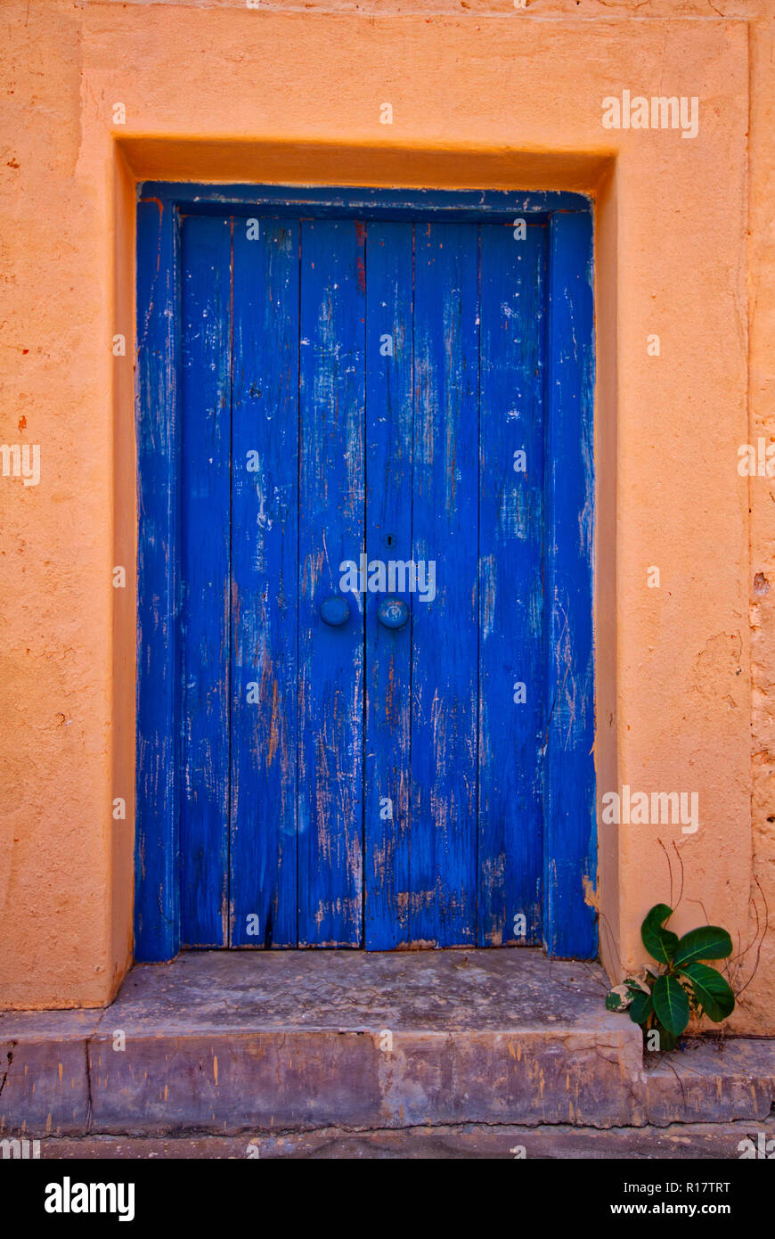 Porte bleue sur l'île de prison, Zanzibar Banque D'Images