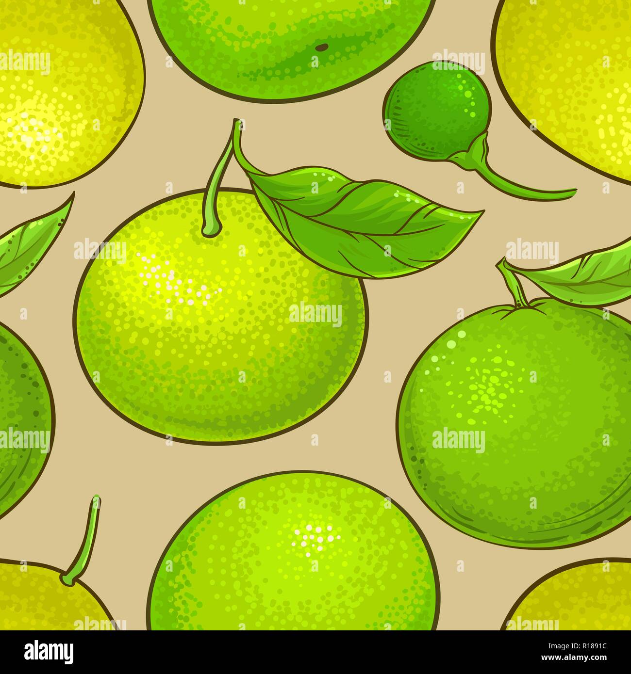 Mandarin vert fond de couleurs modèle vecteur fruit Illustration de Vecteur