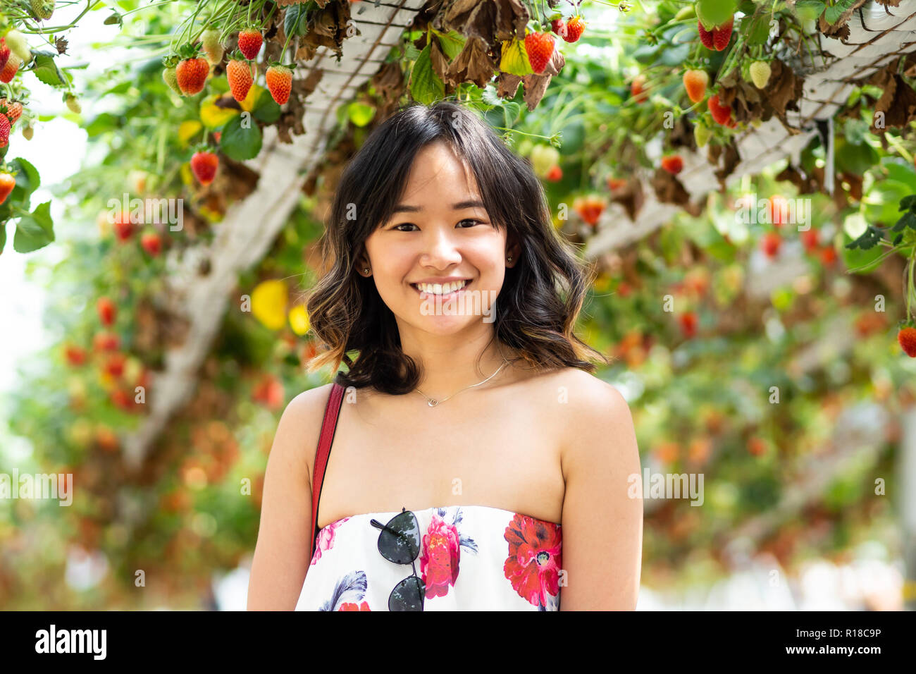 Jeune femme à la ferme de fraises Banque D'Images