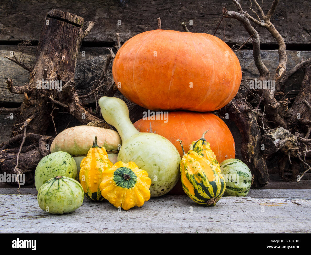 Un groupe de mûres, légumes et fruits d'automne sur le fond rugueux. Les potirons, les pommes et les noix à côté de l'autre. Banque D'Images