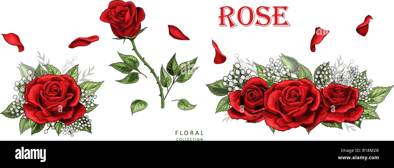 Roses rouges à la main jeu de couleurs. Fleurs rose isolé sur fond blanc Illustration de Vecteur