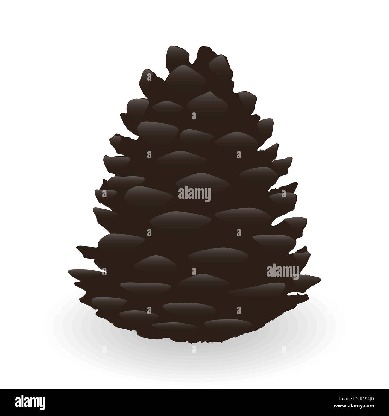 Cartoon Fir Cone isolé sur fond blanc. Vector Illustration Illustration de Vecteur