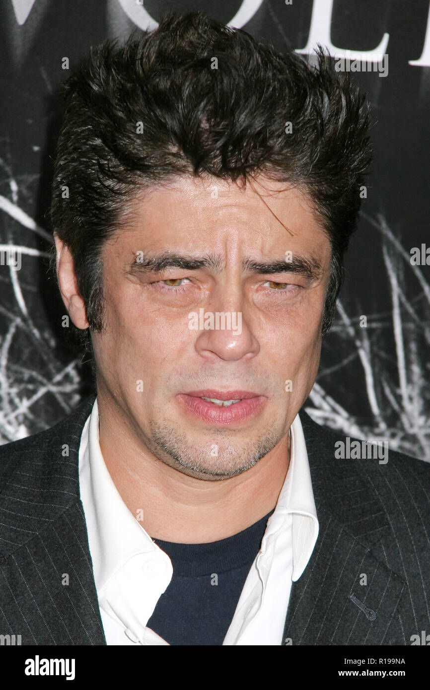 Benicio del Toro 02/09/10 'Wolfman' Premiere @ cinémas Arclight Hollywood, Photo de Kuroda Ima/HNW / PictureLux (9 février 2010) Banque D'Images