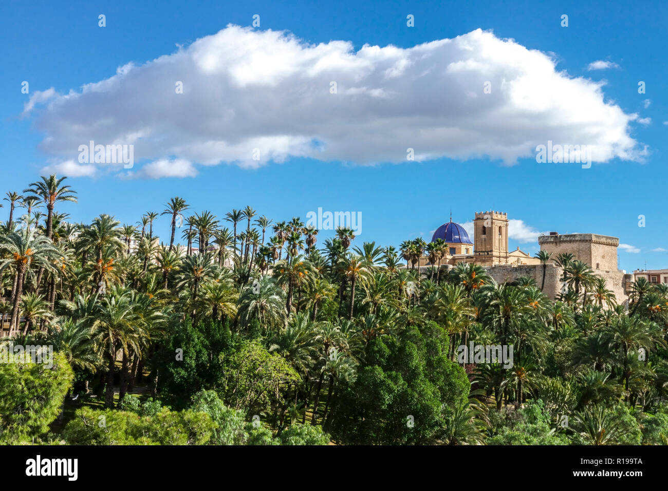 Le grand nuage au-dessus de Basilica de Santa Maria et Parc Municipal El Palmeral Elche Belle vue panoramique palmiers à Elche Costa Blanca Espagne Europe Banque D'Images