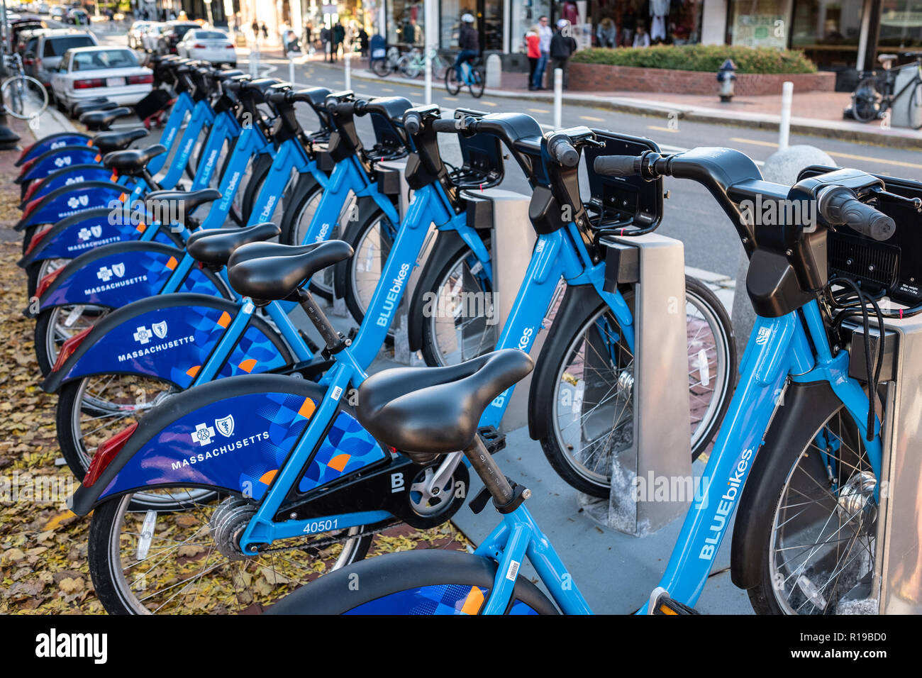 Vélos à louer dans la région de Harvard Square, Cambridge, MA Banque D'Images