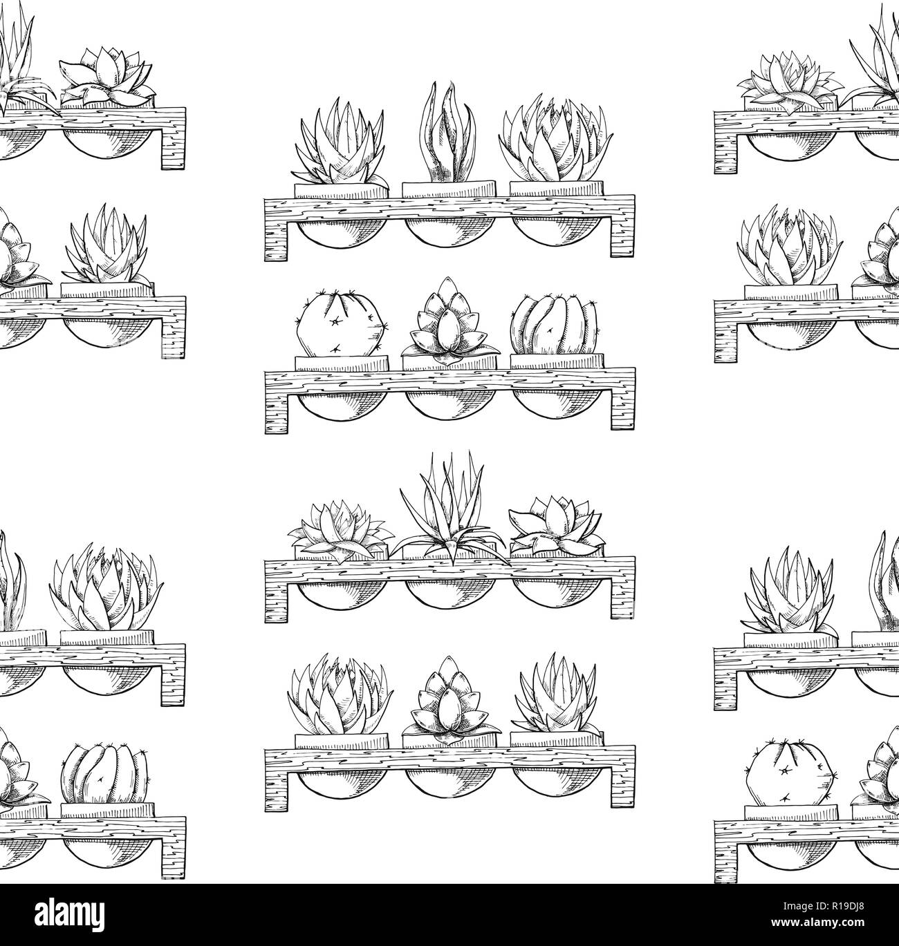 Croquis de trois plantes succulentes en pot sur un support en bois. Vector illustration d'un croquis style.modèle sans couture Illustration de Vecteur