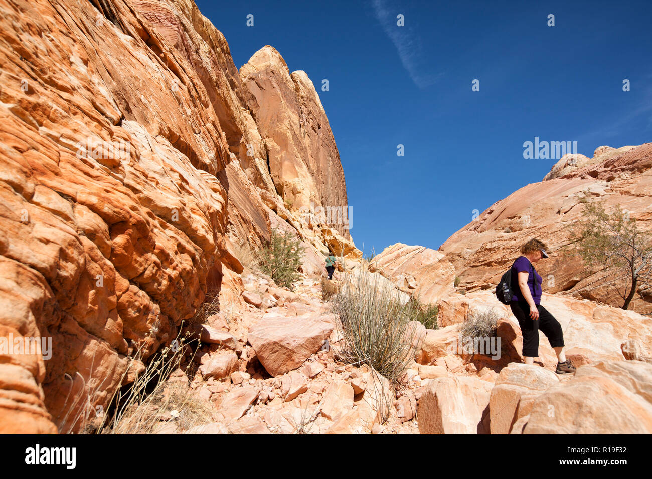 Randonneur femme le long de la piste de dômes blancs dans la vallée de feu dans le Nevada State Park Banque D'Images