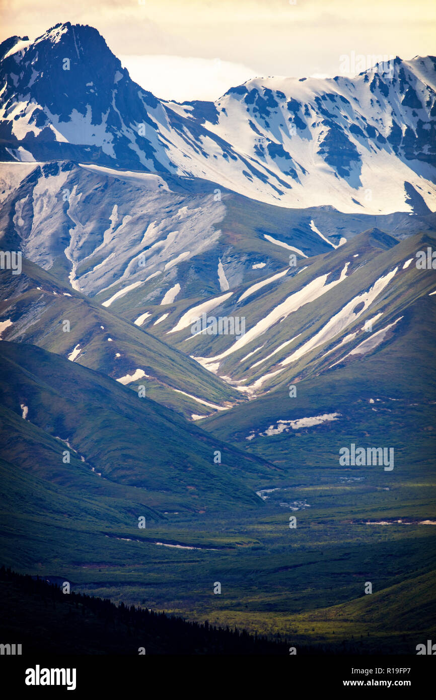 Vue sur le paysage du mont McKinley au parc national Denali, Alaska, États-Unis Banque D'Images