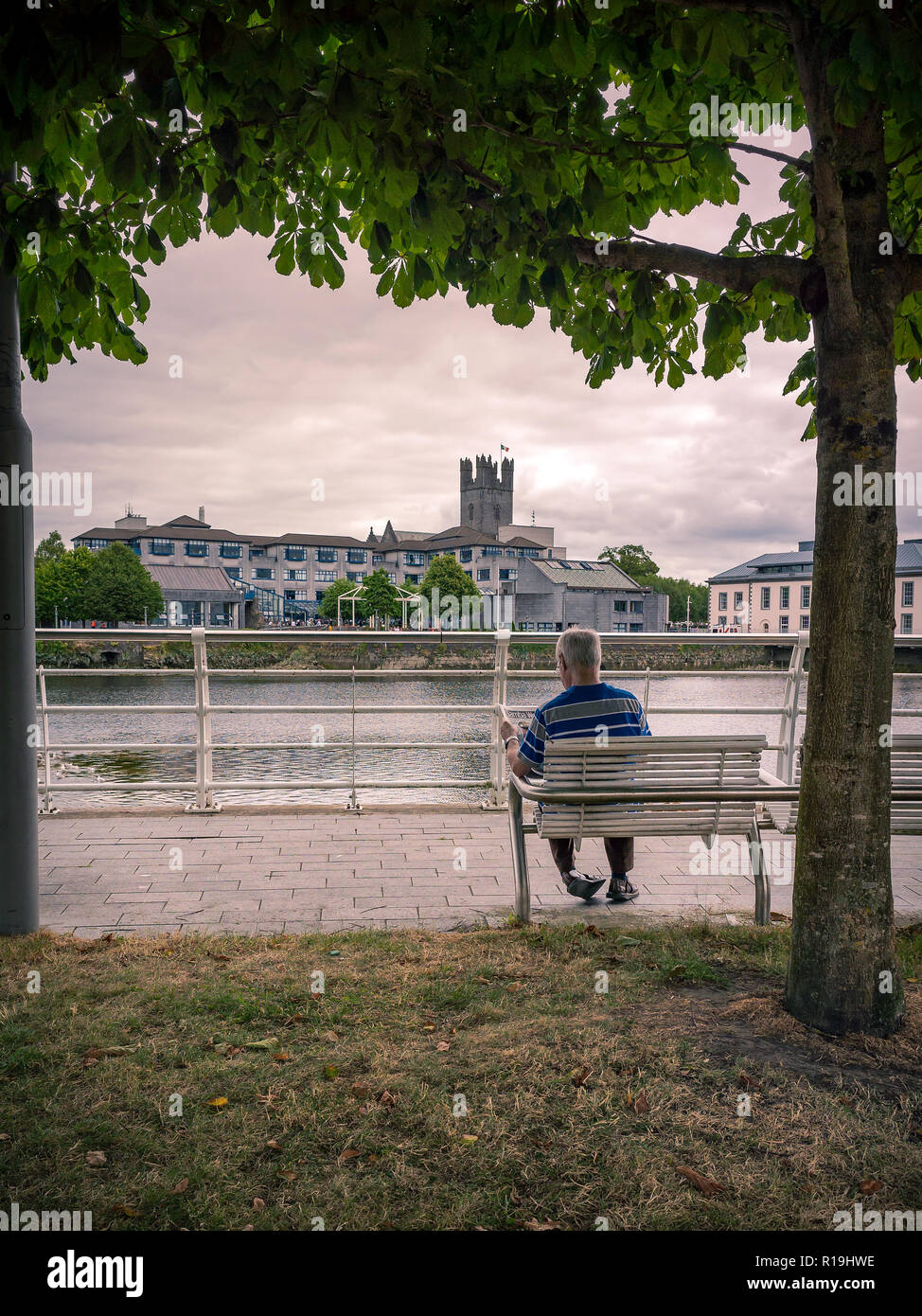 Man reading newspaper assis sur un banc en face de l'King John's Castle, Limerick, Irlande Banque D'Images