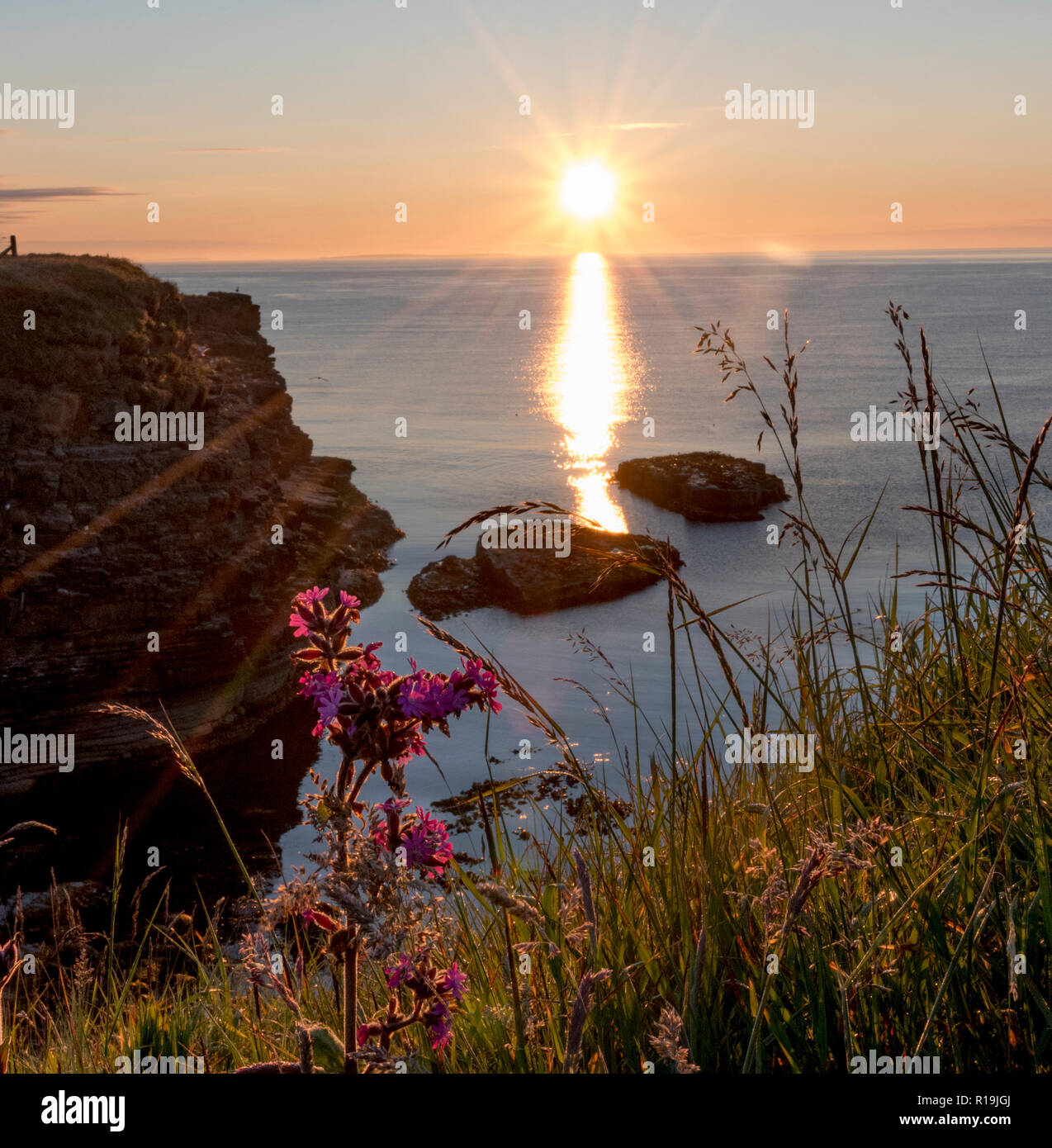 Falaises du Deerness Nature Reserve , Orkney continentale au lever du soleil. Banque D'Images