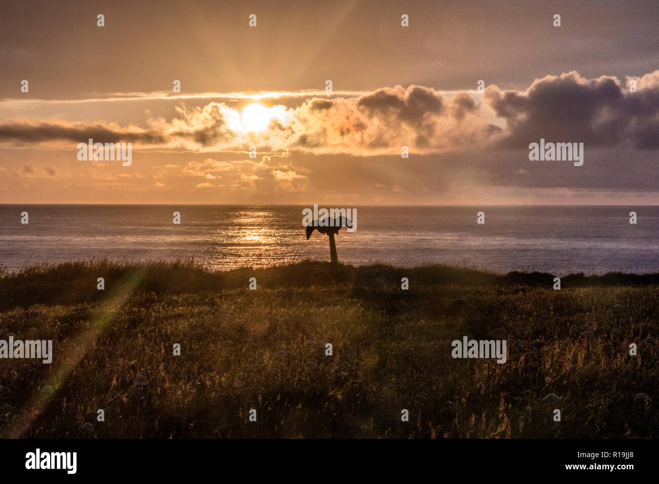 Fonction de baleine, Birsay, Orkney Banque D'Images