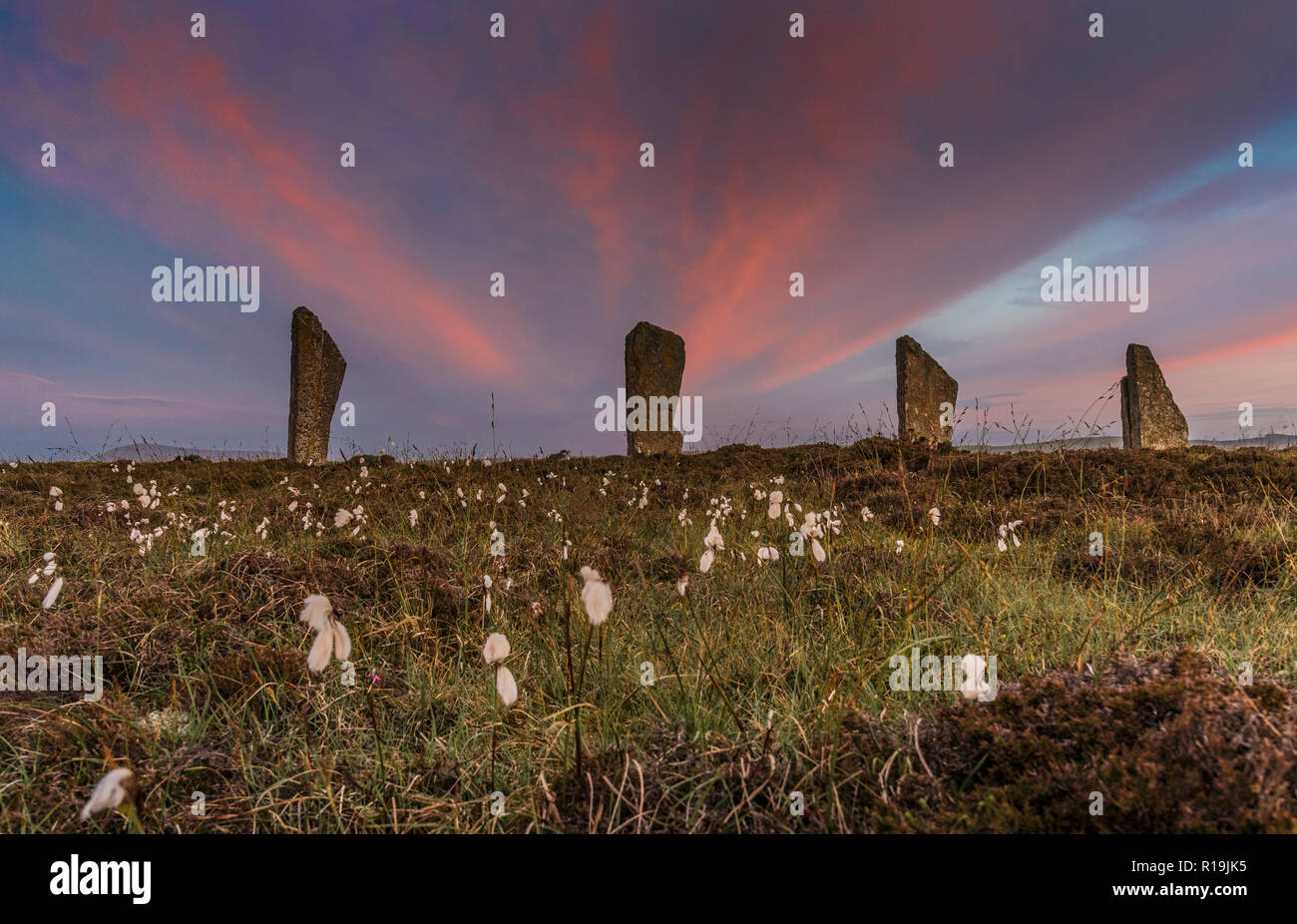 Anneau à Orkney de menhirs néolithiques Shetlands, stone circle, solstice d'été. Banque D'Images