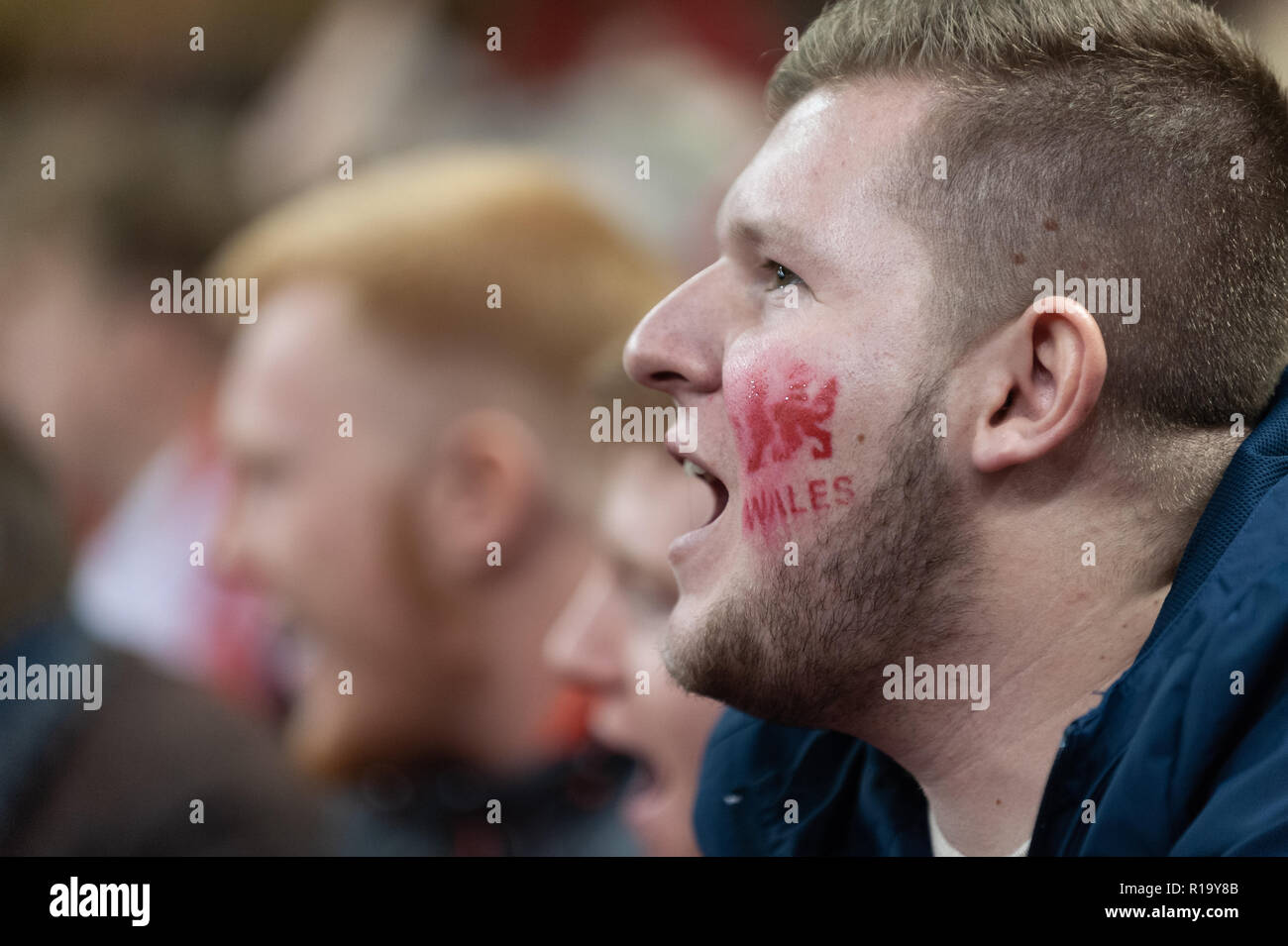 Cardiff, Wales, UK. 10 Nov, 2018. Un supporter gallois dans la foule au stade de l'approbation de sa principauté voix. Credit : WALvAUS/Alamy Live News Banque D'Images