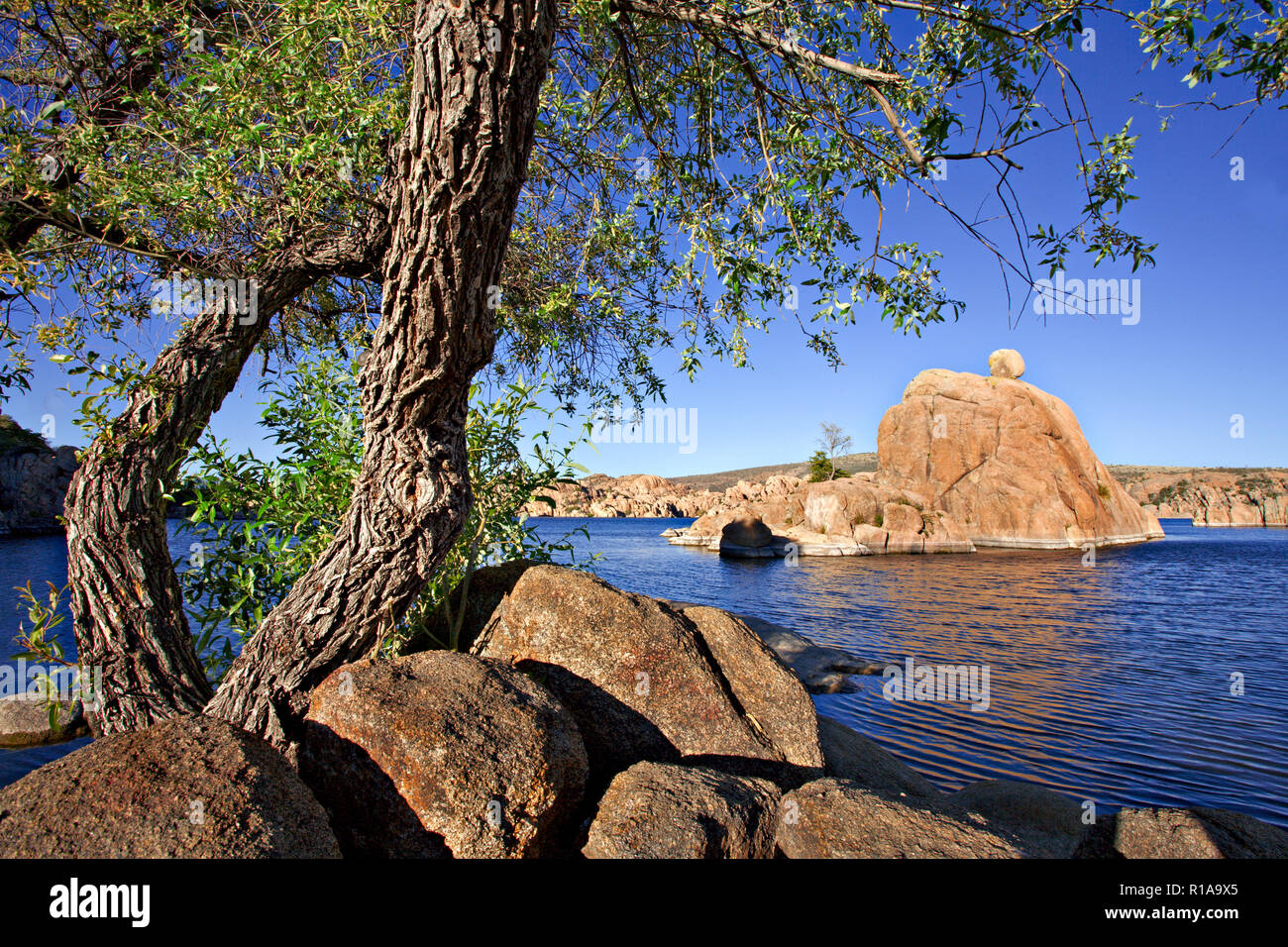 Arbres et rochers de Watson Lake en Arizona, États-Unis Banque D'Images