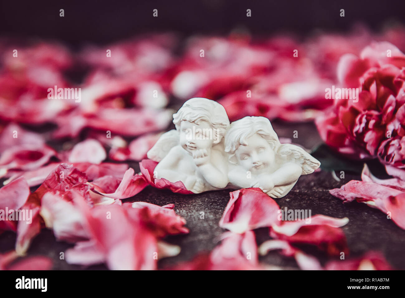 Statuette de deux petits anges belle antique du gypse sur la pierre noire de fond avec pétales de fleurs de pivoine rose. Amour, romantique, Vintage Valen Banque D'Images
