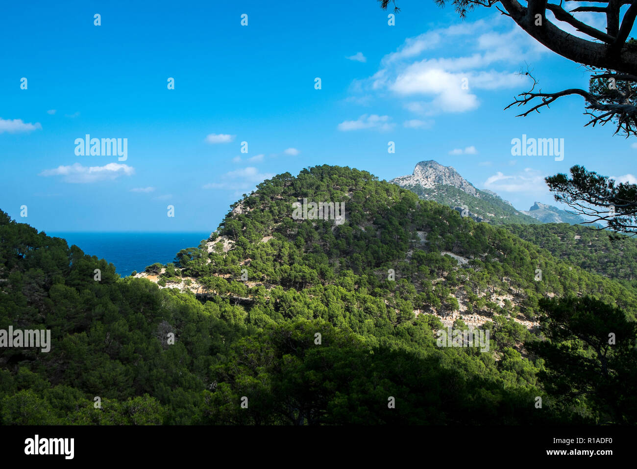 Cap formentor cycling Banque de photographies et d’images à haute