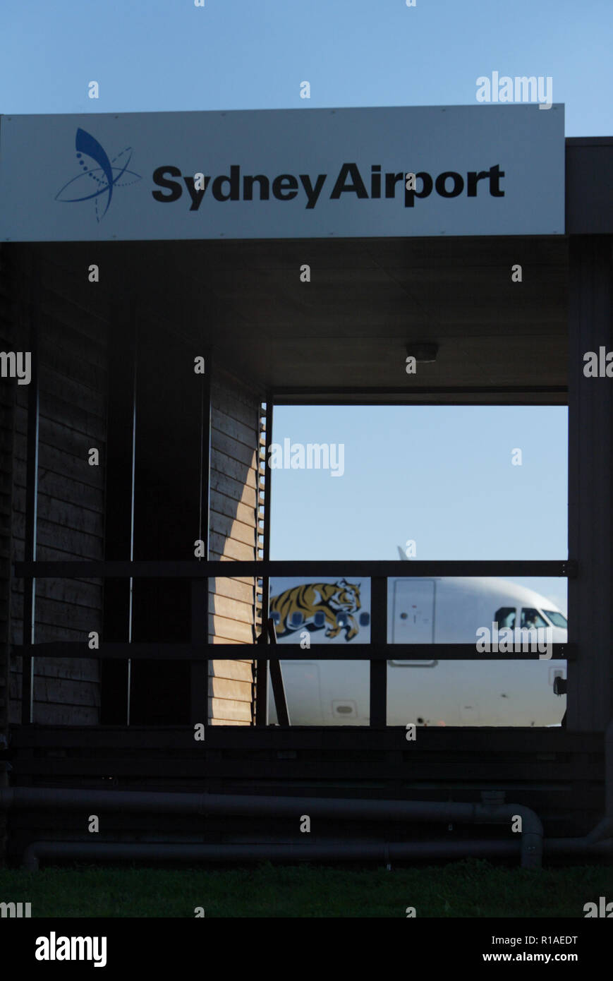 2 juillet 2009. Le vol inaugural de Tiger Airways, filiale à budget de Singapore Airlines, vers l'aéroport de Sydney. Des joueurs de l'équipe de rugby Wêtes Tigers NRL ont également assisté à la conférence de presse arrivée et tarmac. Sydney, Australie. Banque D'Images