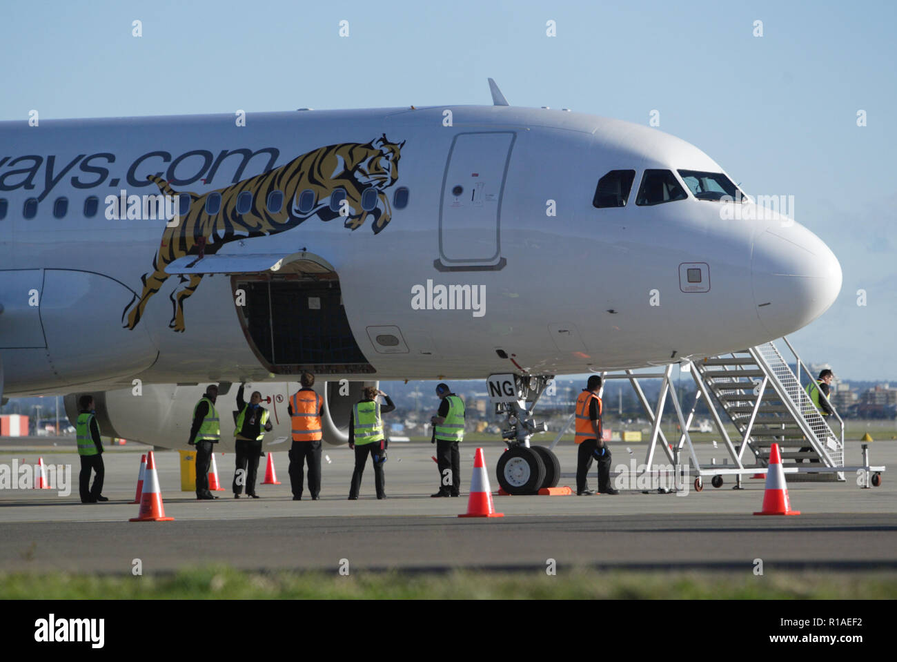 2 juillet 2009. Le vol inaugural de Tiger Airways, filiale à budget de Singapore Airlines, vers l'aéroport de Sydney. Des joueurs de l'équipe de rugby Wêtes Tigers NRL ont également assisté à la conférence de presse arrivée et tarmac. Sydney, Australie. Banque D'Images