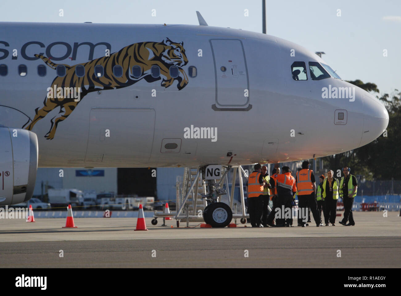 2 juillet 2009. Le vol inaugural de Tiger Airways, filiale à budget de Singapore Airlines, vers l'aéroport de Sydney. Des joueurs de l'équipe de rugby Wêtes Tigers NRL ont également assisté à la conférence de presse arrivée et tarmac. Sydney, Australie. Banque D'Images