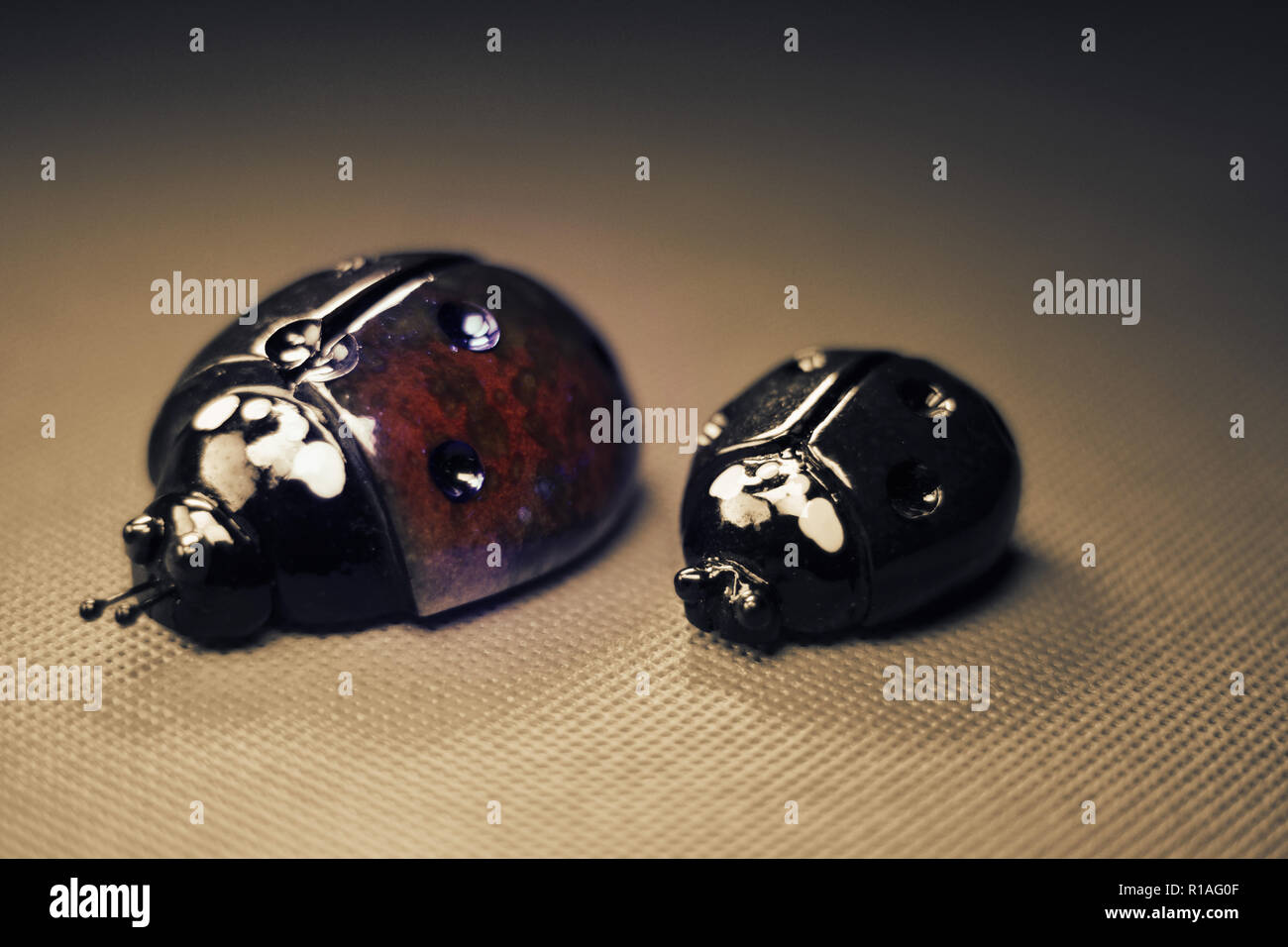 Pupa beetle Banque de photographies et d'images à haute résolution - Alamy