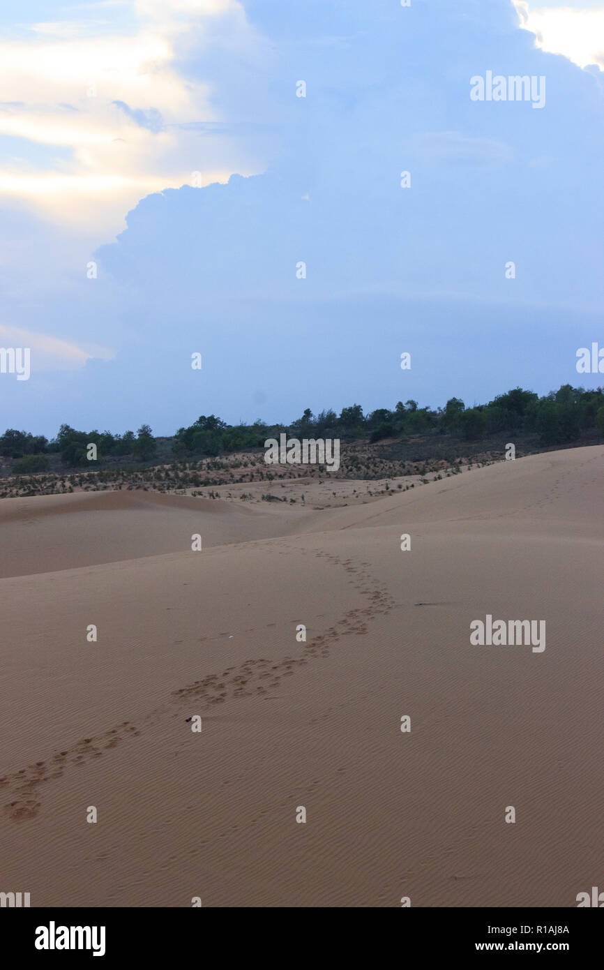 Dunes de sable blanc à mui ne vietnam Banque D'Images