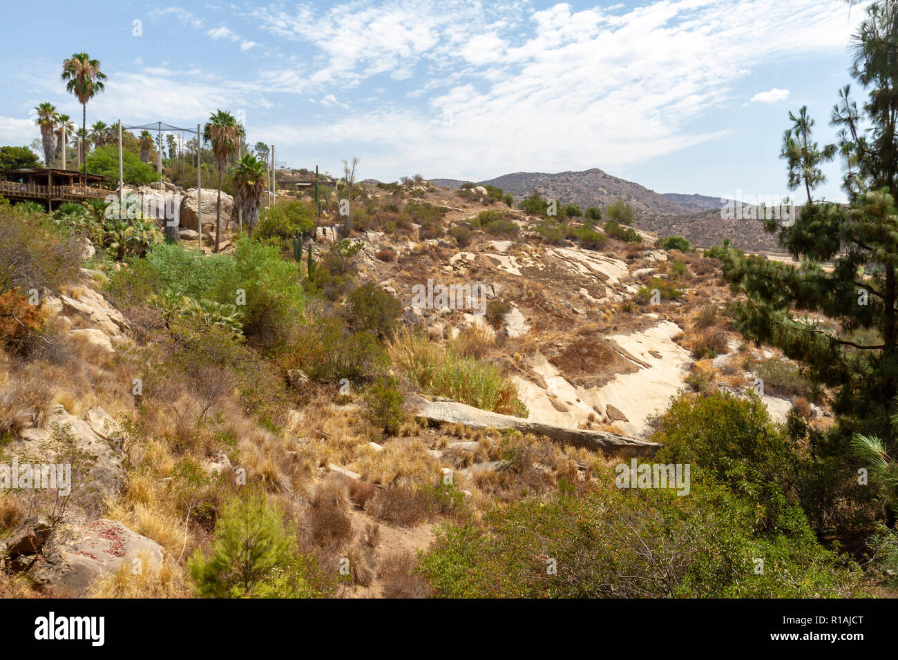 Vue générale de Condor Ridge dans le San Diego Zoo Safari Park, Escondido, CA, United States Banque D'Images