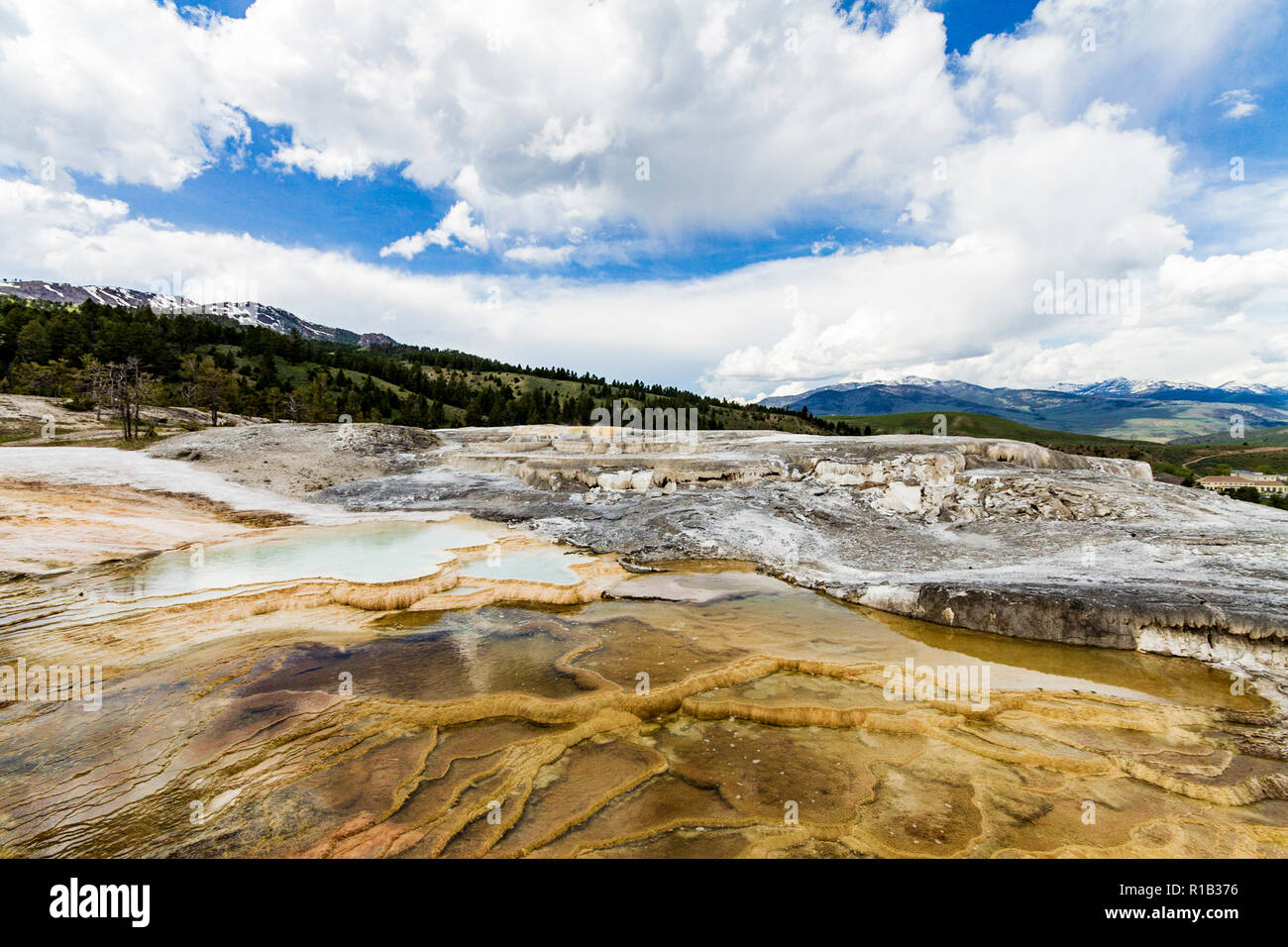 Terrasse monticule hotsprings dans le Parc National de Yellowstone Banque D'Images