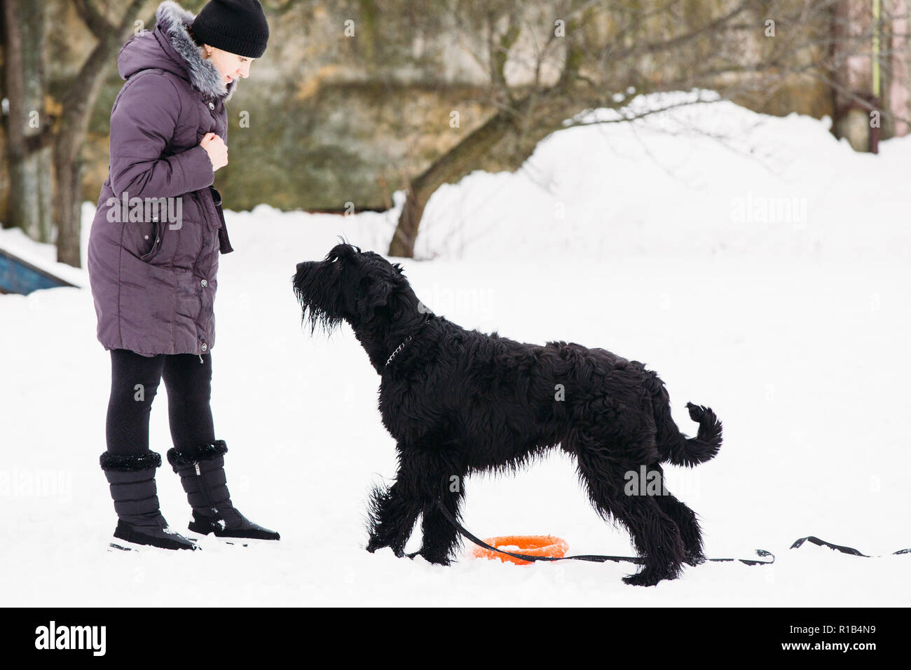 Gomel Bélarus 15 Janvier 2018 Jeune Fille Et Son Animal