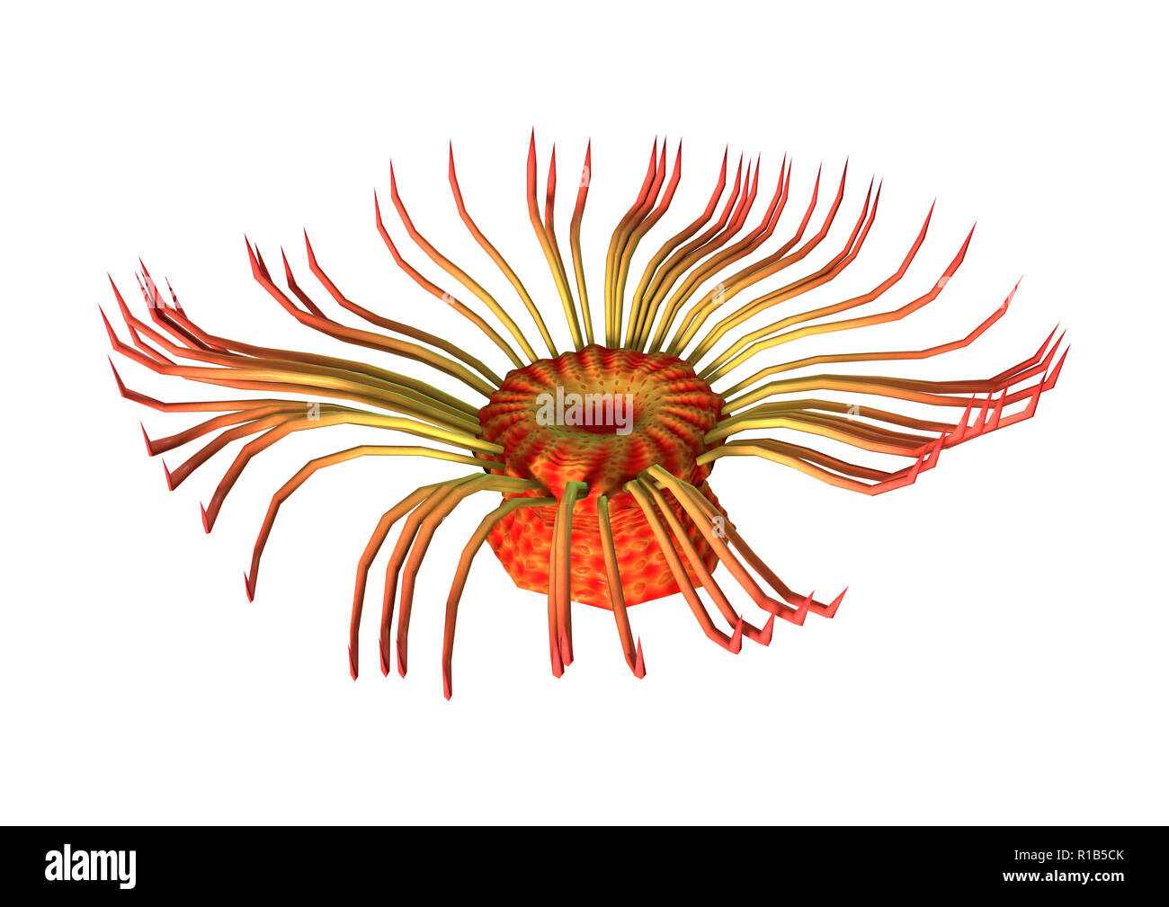 Le rendu 3D d'une anémone de mer isolé sur fond blanc Banque D'Images