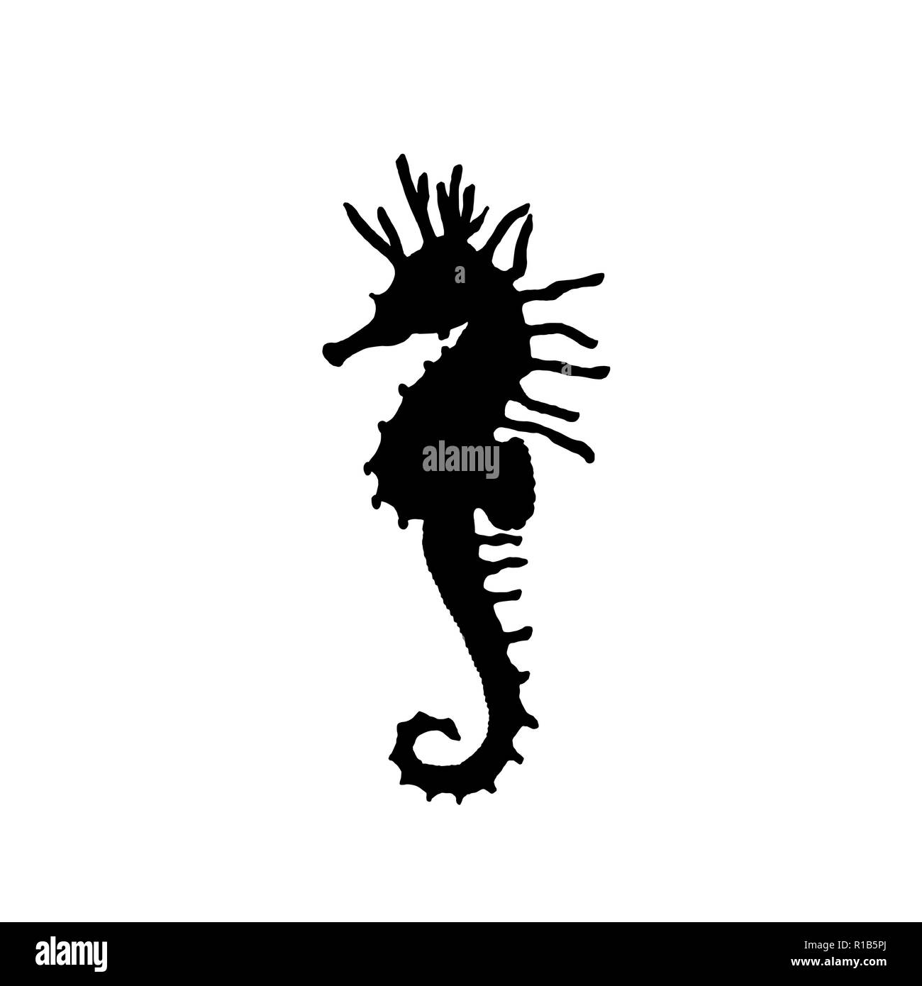 Vector illustration de l'hippocampe noir silhouette. Dessin à la main silhouette d'hippocampes Illustration de Vecteur