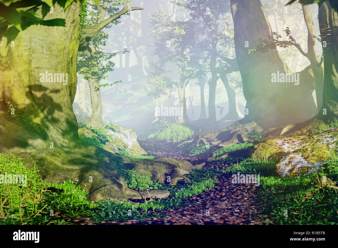 Chemin à travers la forêt magique au lever du soleil, de beaux vieux arbres imaginaire paysage Banque D'Images
