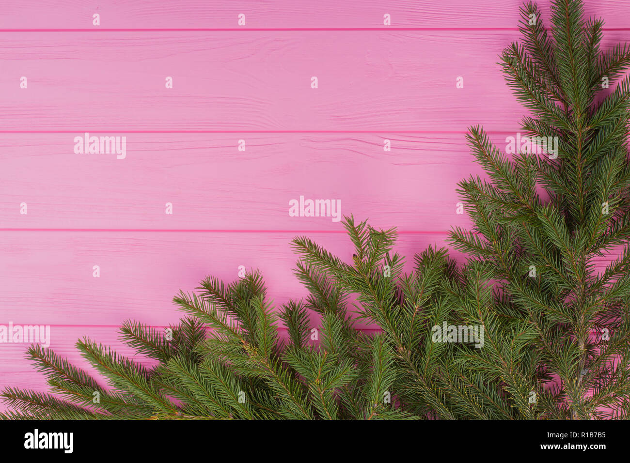 Fond de bois de sapin de Noël avec des branches. Banque D'Images