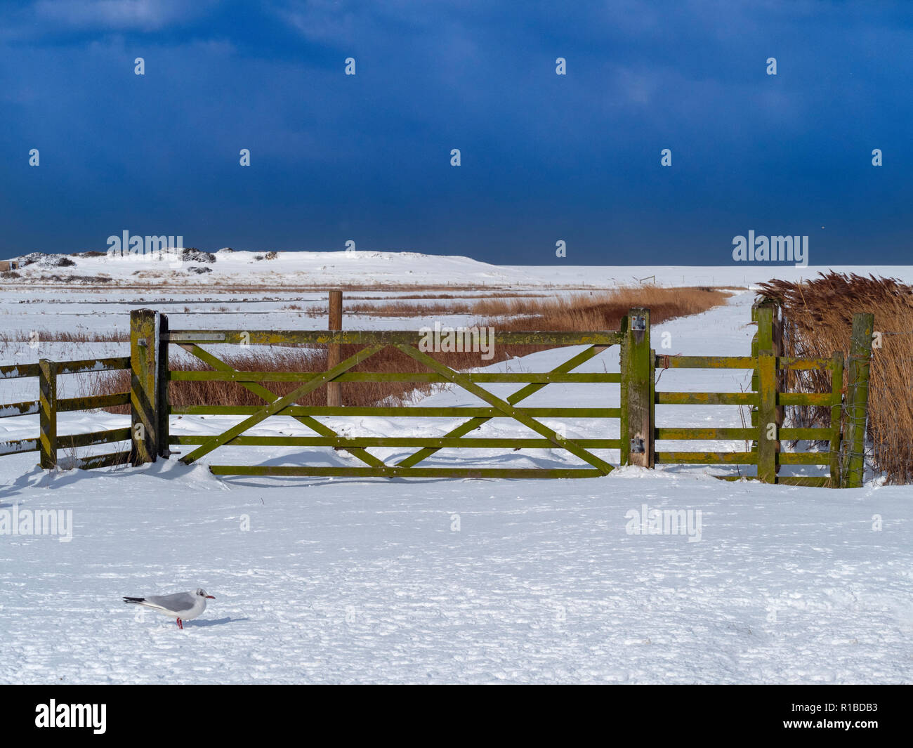 Ciel d'hiver Le CLAJ nature reserve sous la neige Hiver UK Norfolk Banque D'Images