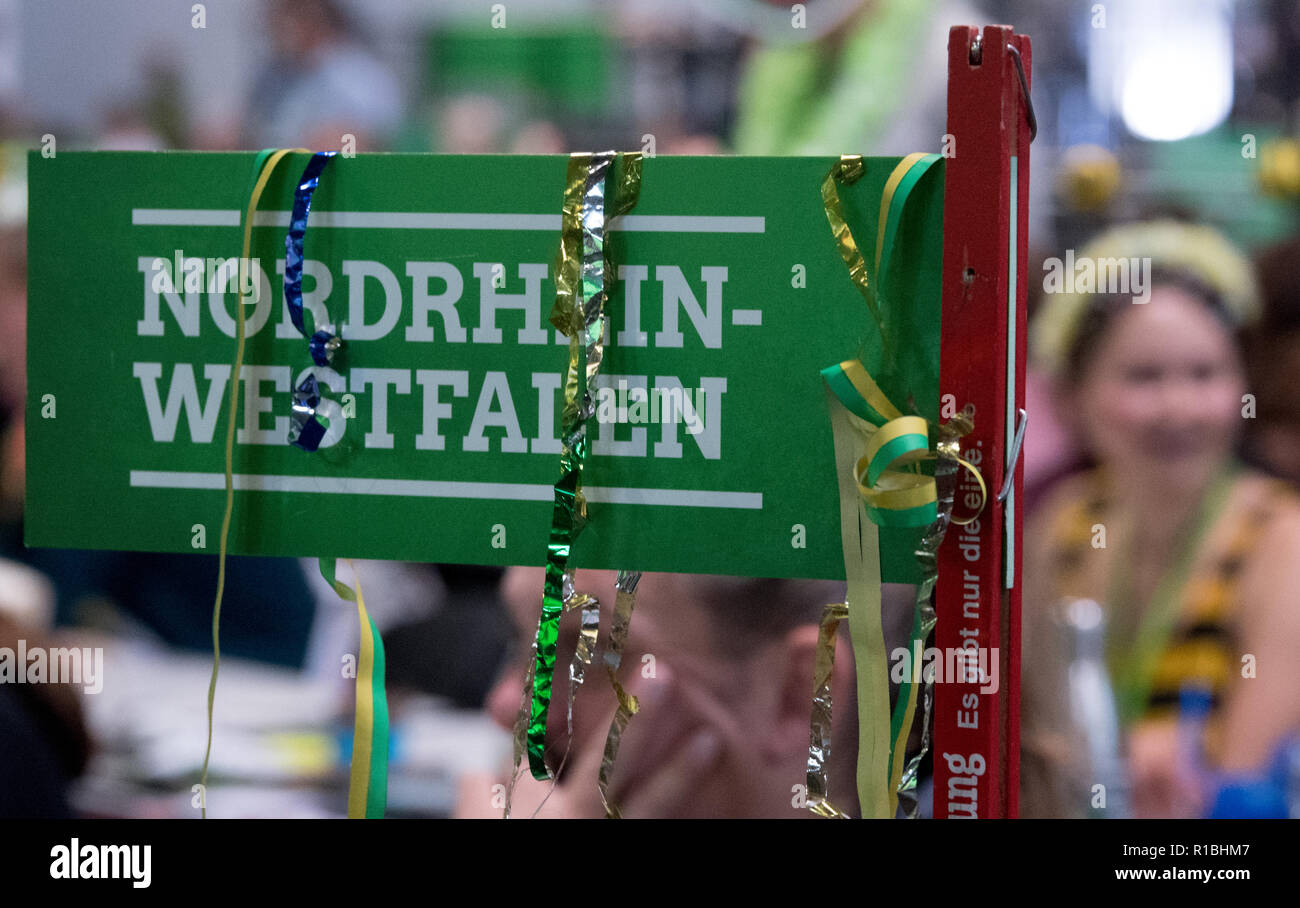 Leipzig, Allemagne. 11Th Nov, 2018. Les bourrasques d'air accroché au bouclier de la Rhénanie du Nord-Westphalie association de l'État fédéral à la 43e conférence des délégués de l'Alliance 90/à Leipzig au début de la saison de carnaval. Le congrès du parti se concentrera sur l'adoption du programme pour les élections européennes et l'élaboration de la liste fédérale des verts pour les élections européennes. Credit : Hendrik Schmidt/dpa-Zentralbild/ZB/dpa/Alamy Live News Banque D'Images