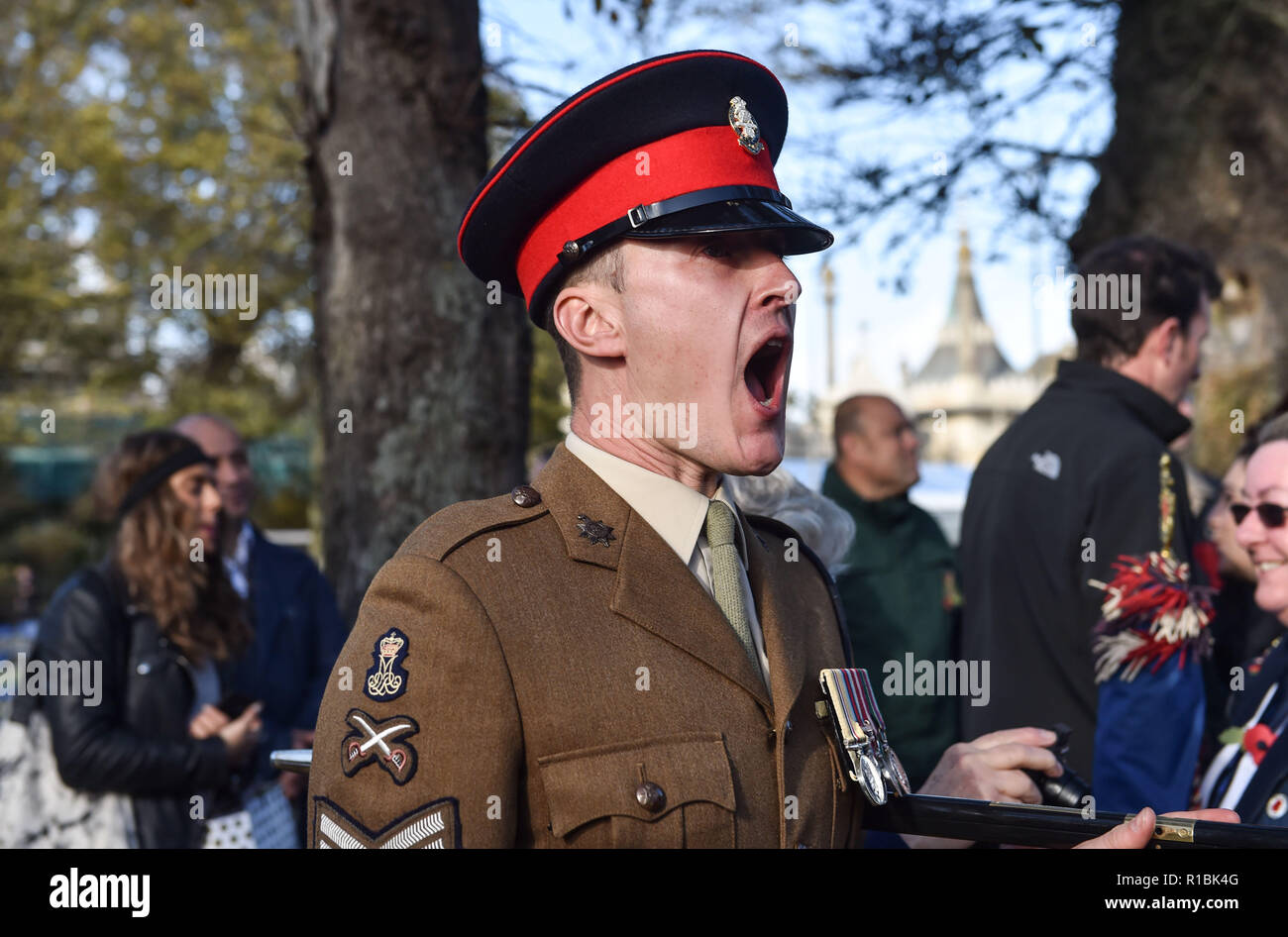 Brighton UK 11 novembre 2018 -Des milliers de gens se sont rendus, pour l'acte de commémoration publique tenue à Brighton War Memorial . Il est aujourd'hui les 100 ans de la fin de la Première Guerre mondiale le 11 novembre 1918 . Photographie prise par Simon Dack Crédit : Simon Dack/Alamy Live News Banque D'Images