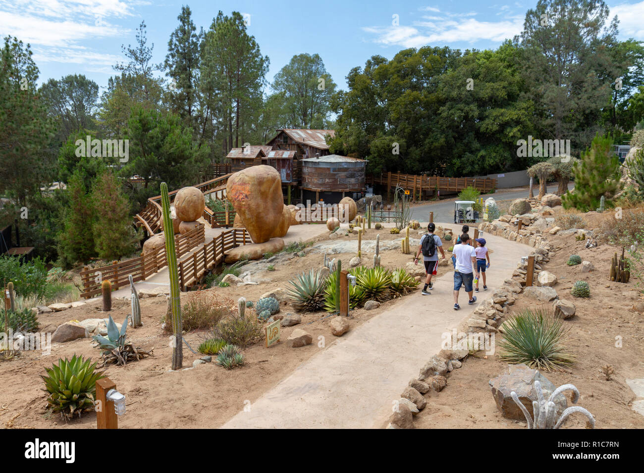 Vue générale de l'Ancien Monde et le Baja Jardin succulentes Jardin, San Diego Zoo Safari Park, Escondido, CA, USA. Banque D'Images