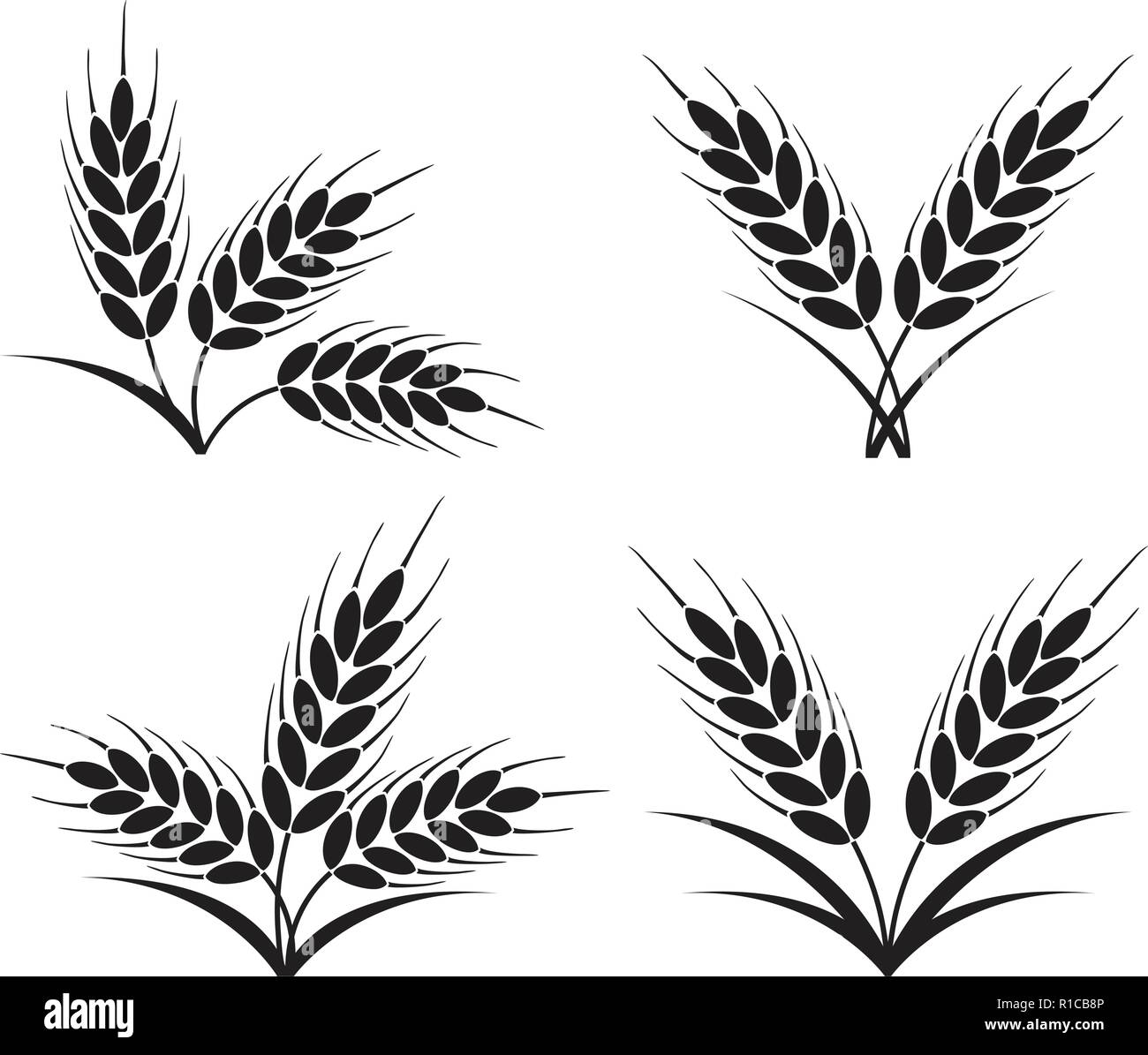 Vector bouquets de blé, d'orge ou de seigle les oreilles avec des grains entiers et de feuilles, noir sur les récoltes ou l'icône Symbole isolé sur fond blanc. Illustration de Vecteur