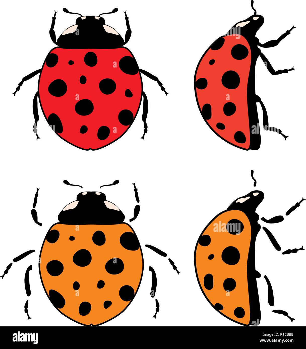 Coccinelle vecteur symboles plat isolé sur fond blanc. les éléments de conception avec les coccinelles Coccinelle rouge et orange. icons Illustration de Vecteur
