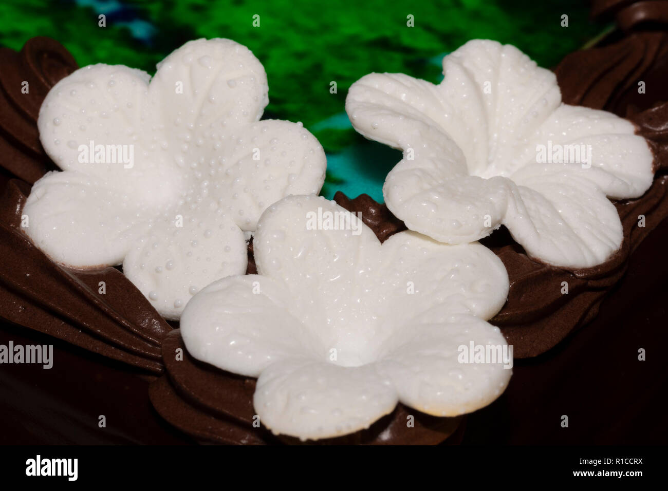 Fondant blanc trois fleurs sur le gâteau au chocolat Banque D'Images