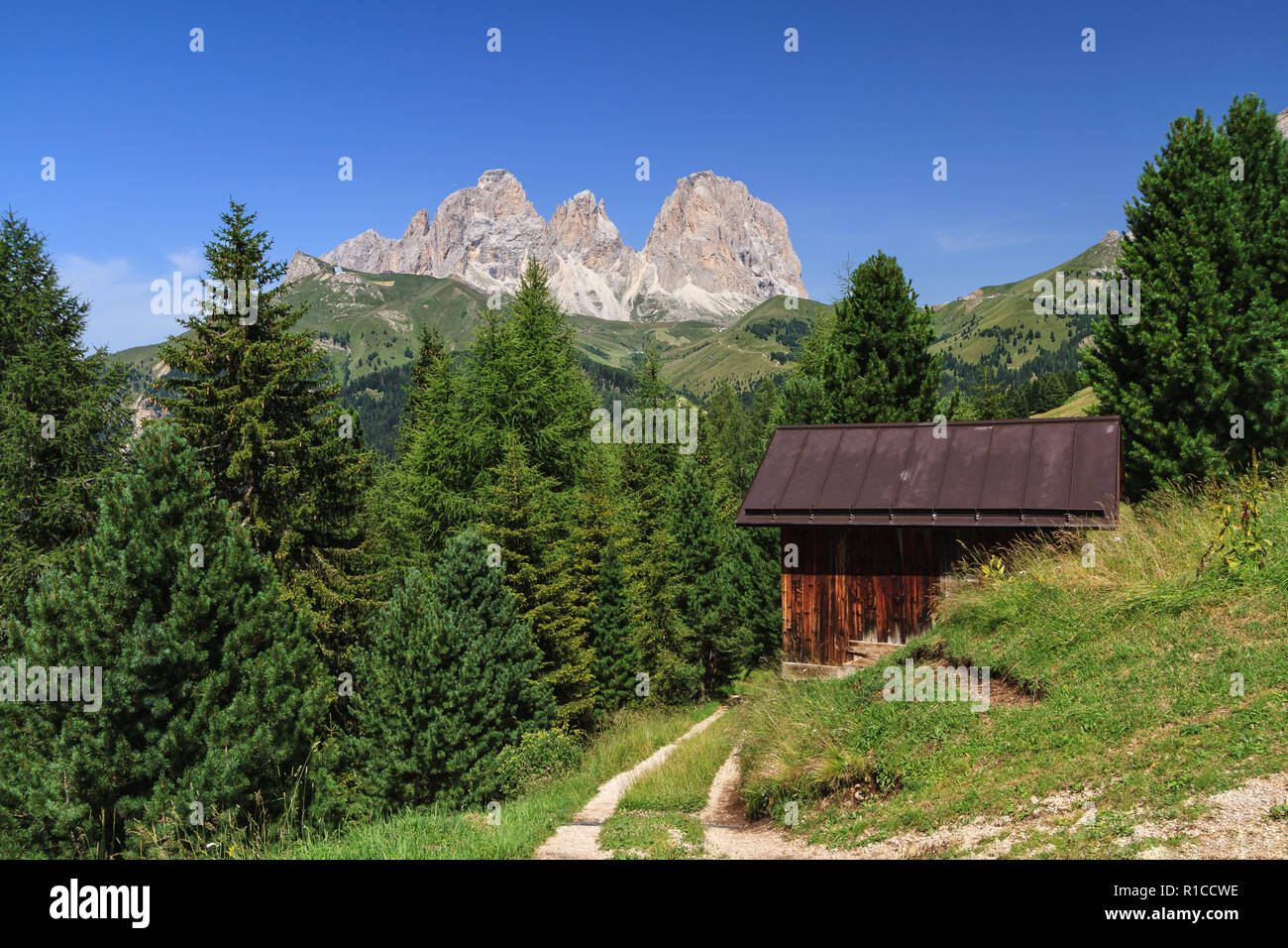 Paysage d'été de la vallée de Fassa avec en arrière plan le mont Sassolungo Banque D'Images