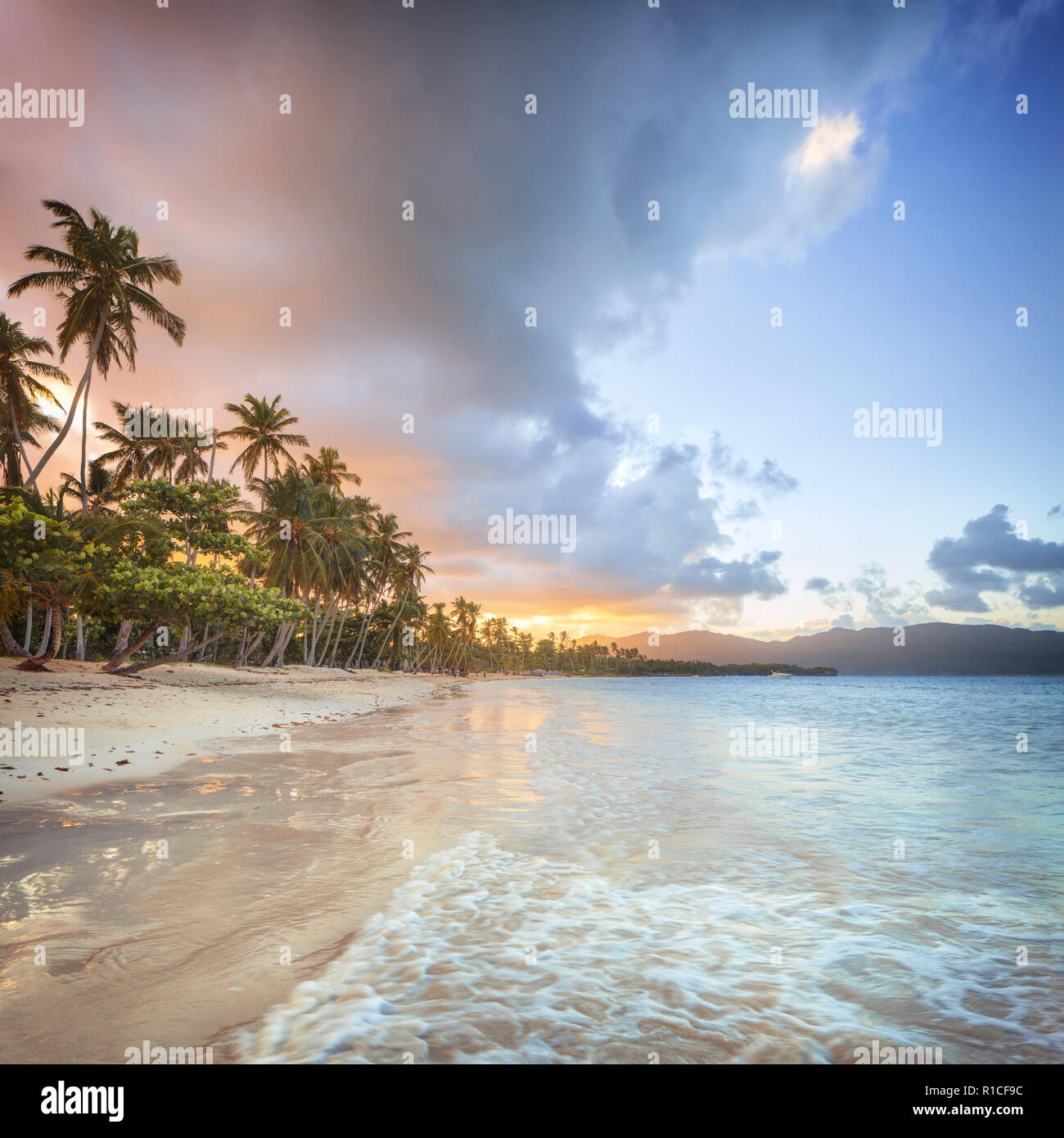 Au coucher du soleil, plage isolée de Las Galeras, République Dominicaine Banque D'Images