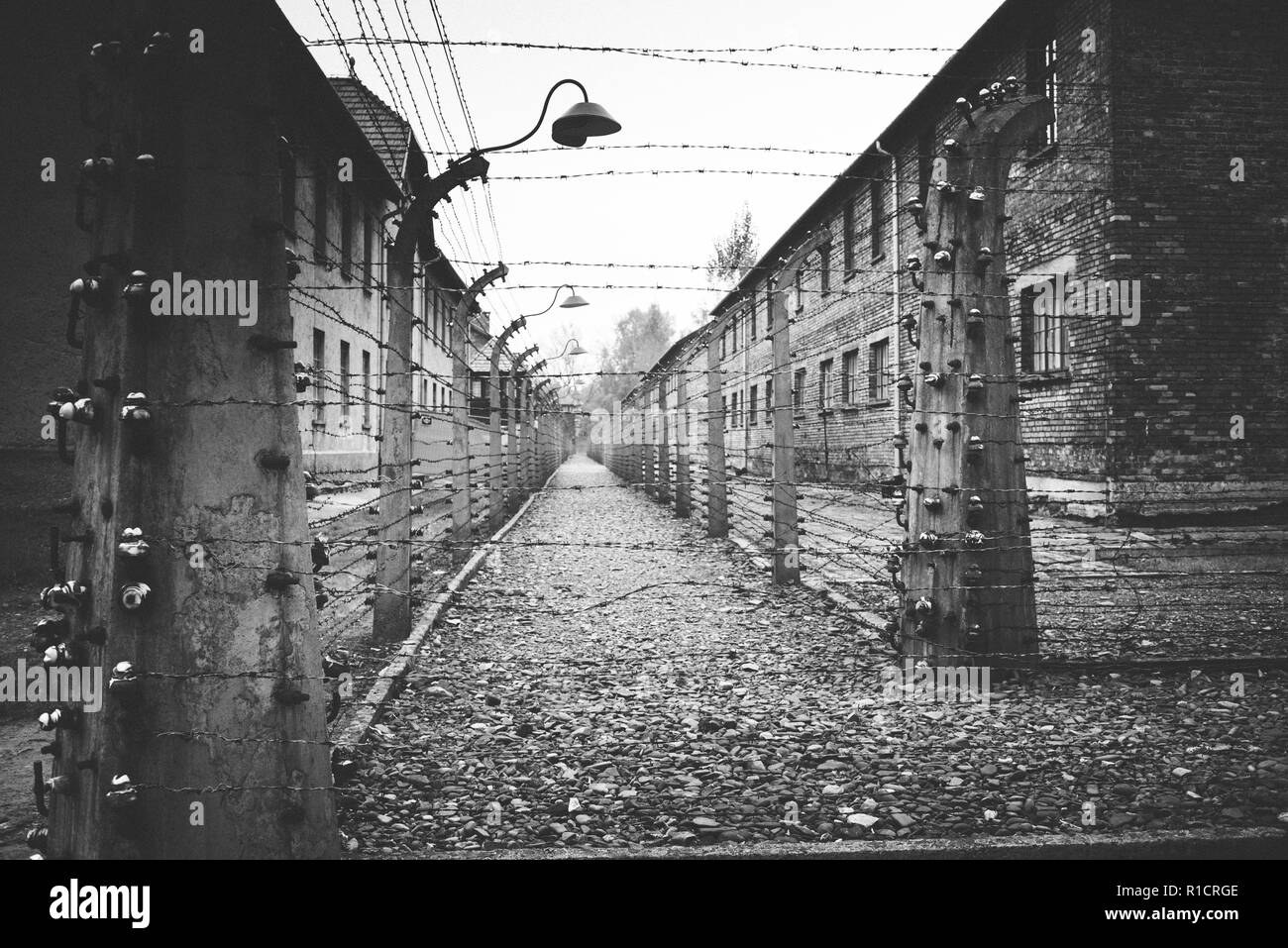 Concentration et d'extermination nazi d'Auschwitz camp. Clôtures électrifiées séparant les casernes. Auschwitz, occupés par l'Allemagne, la Pologne, l'Europe Banque D'Images