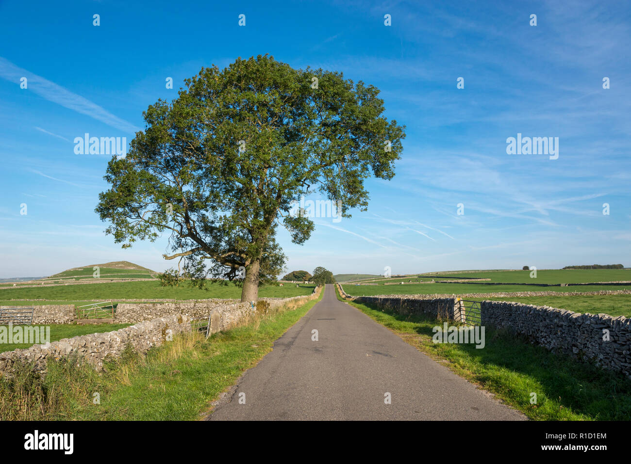 Route de campagne et le Pic Blanc, Peak District, Derbyshire, Angleterre. Route de Earl Sterndale près de Buxton. Banque D'Images