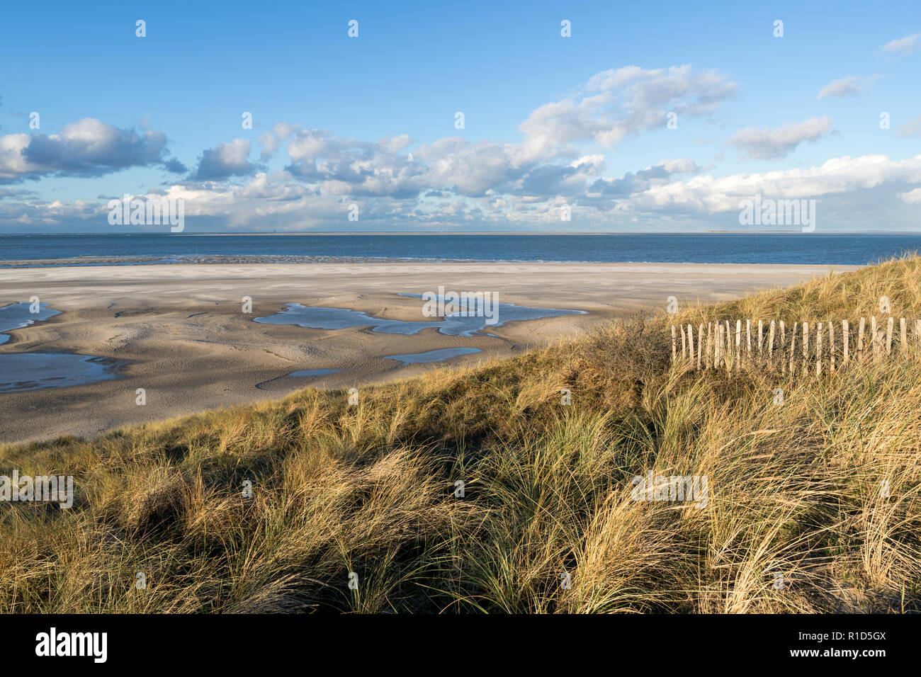 La côte de la mer du Nord des Pays-Bas à Paal 31 sur l'île hollandaise de Texel Banque D'Images