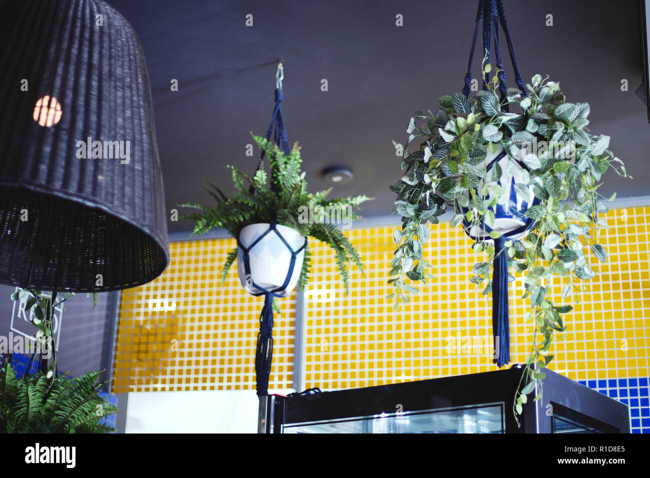 Les plantes en pot suspendu dans une chambre de style urbain. Banque D'Images