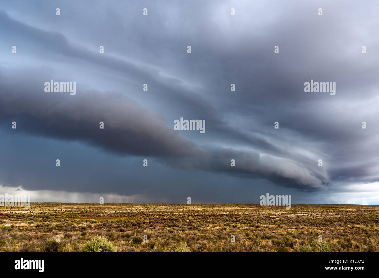 Nuage de plateau spectaculaire sur une tempête le long d'un front froid au-dessus d'un champ Banque D'Images