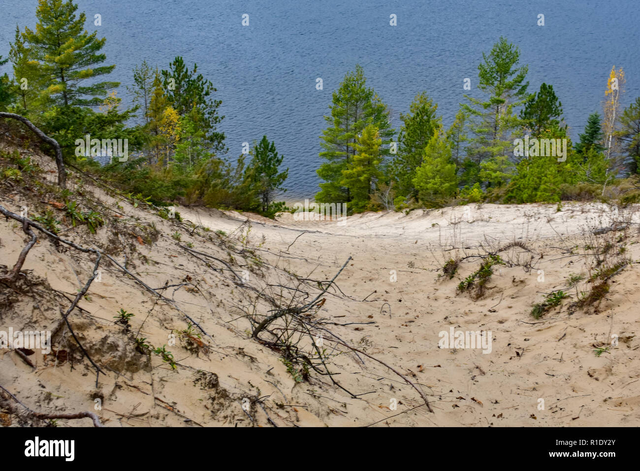 Vue depuis le sommet d'une dune de sable, avec des pins à la rivière/lac banque. Situé dans la forêt nationale de Huron, Michigan, Iron River. Banque D'Images
